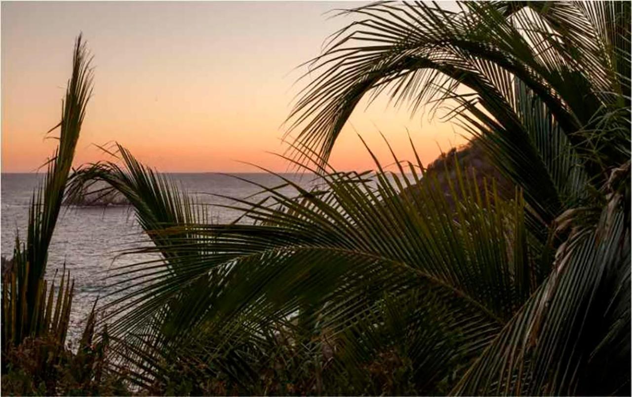 Casa Sol Zipolite Ξενοδοχείο Εξωτερικό φωτογραφία